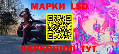 гидропоника Пенза