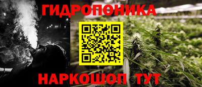 гидропоника Пенза
