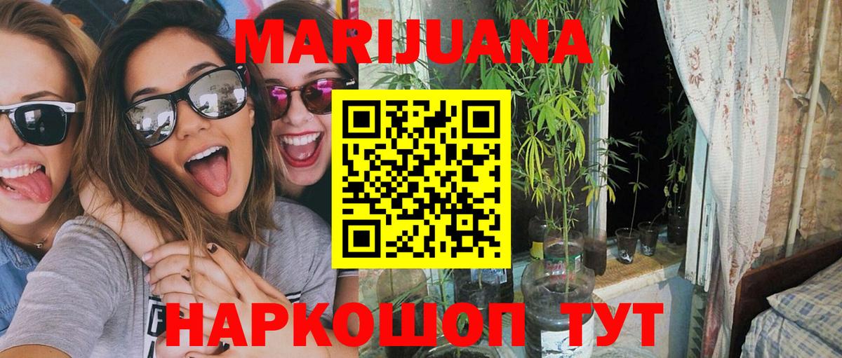 Бошки Шишки планчик Реж